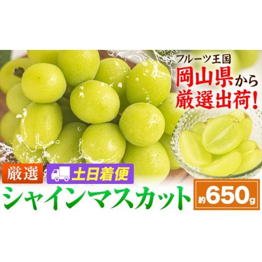 ふるさと納税 ぶどう マスカット 岡山県 笠岡市 土日着便 シャインマスカット 約650g(1房) 配送不可地域あり(離島) [2026年9月上旬-11月上旬頃出荷]岡山県 …