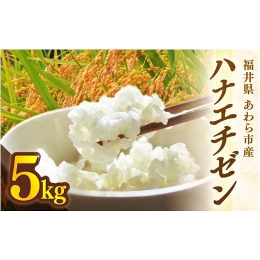 ふるさと納税 米 福井県 あわら市 先行予約 令和8年産 ハナエチゼン 精米 5kg (長谷川農園) / 北陸 福井県産 あわら市 ブランド米 白米 お米 コメ 2026年1…