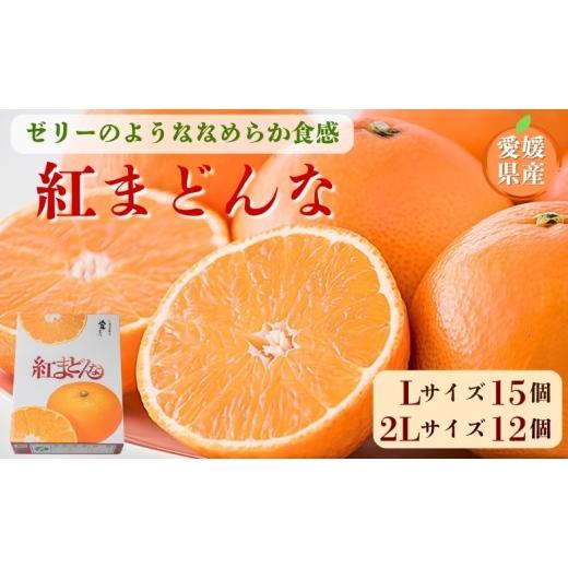 ふるさと納税 みかん・柑橘類 愛媛県 伊予市 2026年先行予約 みかん 紅まどんな 青秀 L〜2Lサイズ 3kg 化粧箱 2026年11月中旬以降順次発送 数量限定 人気 柑…