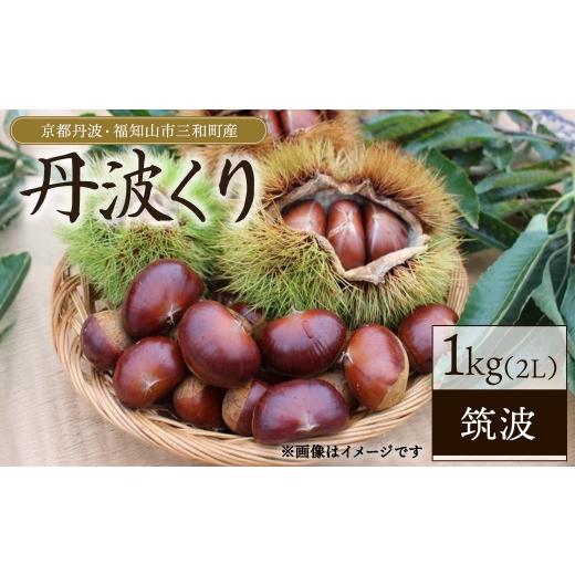ふるさと納税 果物類 栗 京都府 福知山市 2026年10月上旬以降順次発送予定 京都丹波・福知山市三和町産 丹波くり 1kg (筑波 2L) fc-FB001 丹波かなまろんふぁ…