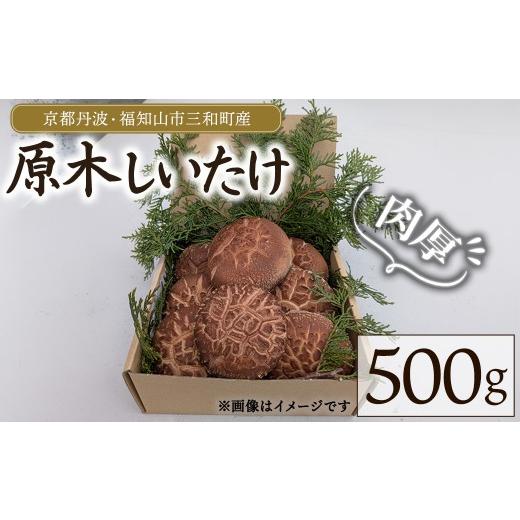 ふるさと納税 野菜類 きのこ 京都府 福知山市 2026年12月上旬以降順次発送予定 京都丹波・福知山市三和町産 原木しいたけ (500g) fc-FB005-A 丹波かなまろん…