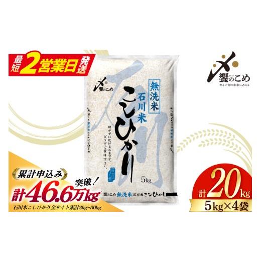 ふるさと納税 米 コシヒカリ 石川県 宝達志水町 最短2営業日発送 米 令和7年 無洗米 こしひかり 精米 5kg 4袋 計 20kg 中橋商事株式会社 石川県 宝達志水町 3…