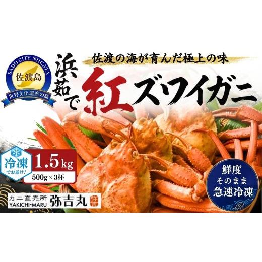 ふるさと納税 カニ ずわいガニ 新潟県 佐渡市 佐渡島産 浜茹で紅ズワイガニ 1杯500g×3杯 冷凍 産地直送 解凍後そのまま | 新潟県産カニ 佐渡産カニ 佐渡島産…