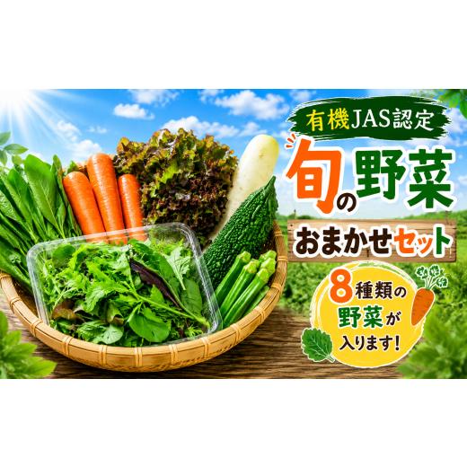 ふるさと納税 セット・詰合せ 茨城県 筑西市 野菜 セット 旬 有機野菜 おまかせ セット 8種類 詰め合わせ 野菜セット やさい ベビーリーフ レタス にんじん ね…