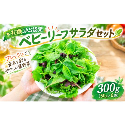 ふるさと納税 野菜類 茨城県 筑西市 ベビーリーフサラダセット 300g ( 50g × 6袋 ) 有機野菜 使い切りサイズ ベビーリーフ サラダ 生野菜 食べやすい 若葉 使…