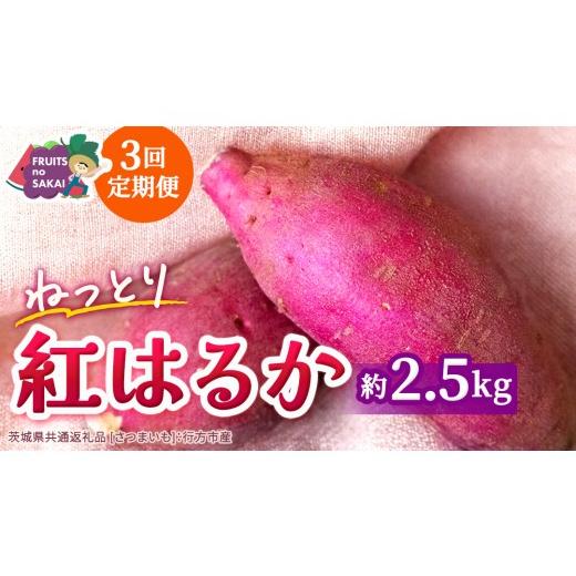 ふるさと納税 野菜類 サツマイモ 茨城県 つくばみらい市 紅はるか 約 2.5kg (3回 定期便 )(茨城県共通返礼品 さつまいも :行方市産) べにはるか 3か月定…