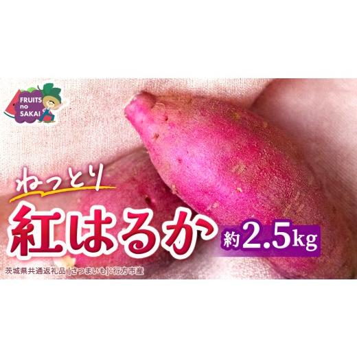 ふるさと納税 野菜類 サツマイモ 茨城県 つくばみらい市 紅はるか 約 2.5kg (茨城県共通返礼品 さつまいも :行方市産) べにはるか さつまいも 生芋 芋 サツ…