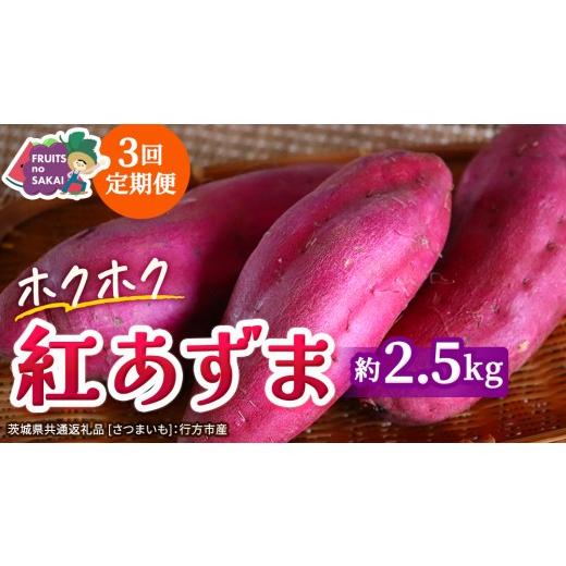 ふるさと納税 野菜類 サツマイモ 茨城県 つくばみらい市 紅あずま 約 2.5kg (3回 定期便 )(茨城県共通返礼品 さつまいも :行方市産) 3か月定期便 定期便 …