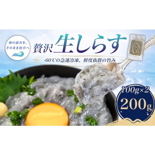 ふるさと納税 魚貝類 しらす 愛知県 南知多町 訳あり 生しらす 200g 小分け 簡易包装 愛知県 南知多町 200g : 6,000円