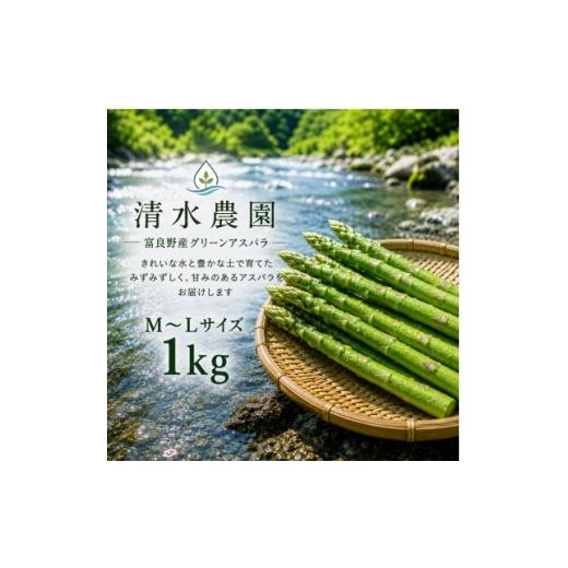 ふるさと納税 野菜類 アスパラガス 北海道 富良野市 2027年発送 ふらの産 採れたて グリーンアスパラ(M〜Lサイズ混合)約1kg 産地直送 1765993