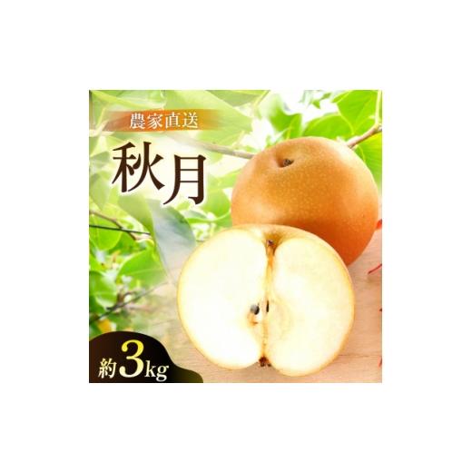 ふるさと納税 梨 茨城県 かすみがうら市 あきづき 梨 3kg 6〜10玉 2026年収穫分 かすみがうら市 1757990