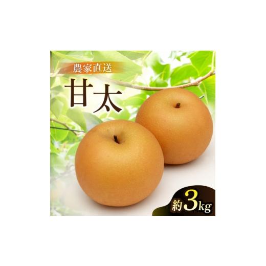 ふるさと納税 梨 茨城県 かすみがうら市 甘太 梨 3kg 6〜10玉 2026年収穫分 かすみがうら市 1757991