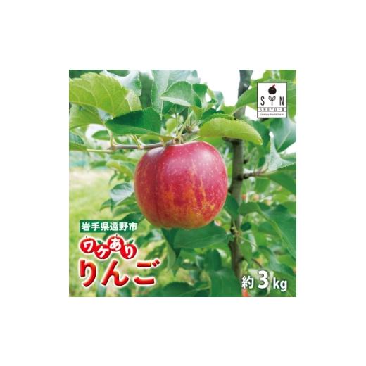 ふるさと納税 りんご 岩手県 遠野市 訳あり りんご 3kg 岩手県 遠野市産 松陽園 品種おまかせ 樹上完熟 フルーツ 家庭用 1548135