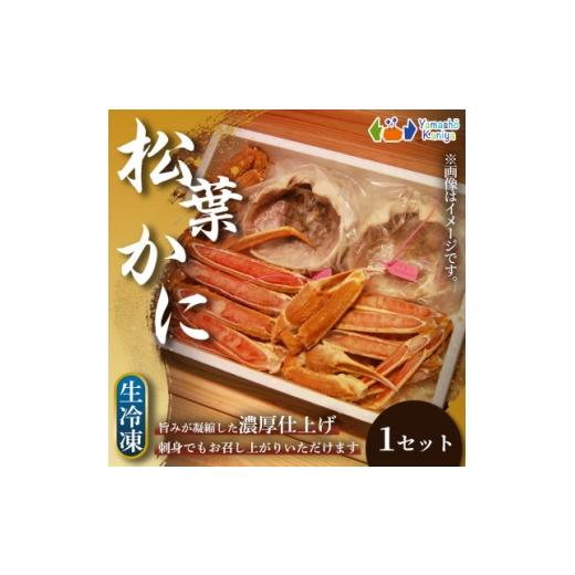 ふるさと納税 カニ ずわいガニ 兵庫県 養父市 冬の味覚を堪能 松葉ガニ カット済み 地蟹セット 生冷凍 1セット 1755642