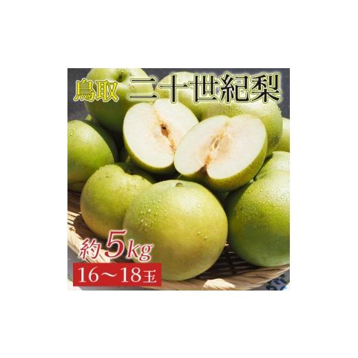 ふるさと納税 梨 鳥取県 智頭町 2026年8月下旬から9月上旬発送予定/二十世紀梨 青梨 5kgセット ふるさと鳥取の自慢の梨です 1627103