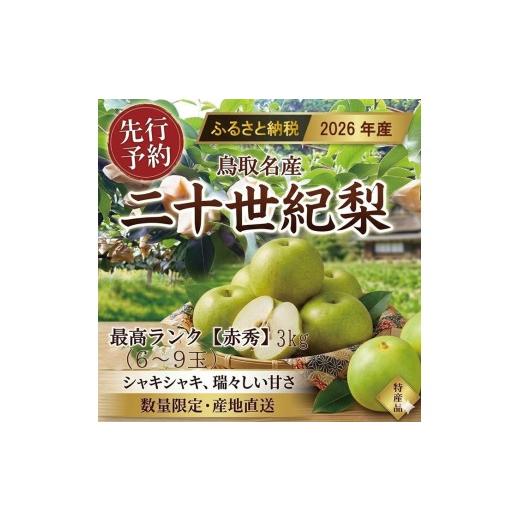 ふるさと納税 梨 鳥取県 三朝町 東商果樹園 二十世紀梨(赤秀)3kg(8月下旬から発送)