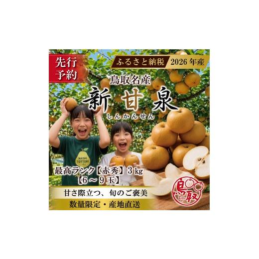 ふるさと納税 梨 鳥取県 三朝町 東商果樹園 新甘泉(訳あり)3kg(8月下旬から発送)