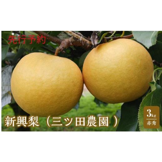 ふるさと納税 梨 鳥取県 三朝町 三ツ田農園 新興梨(赤秀)3kg(10月上旬から発送)