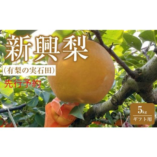 ふるさと納税 梨 鳥取県 三朝町 有梨の実石田 新興梨(ギフト用)5kg(10月中旬から発送)