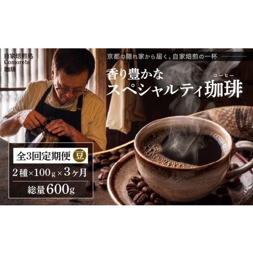 ふるさと納税 コーヒー コーヒー豆 京都府 八幡市 自家焙煎豆スペシャルティコーヒー 3回定期便 600g(100g×2種類×3ヶ月) スペシャリティコーヒー 焙煎 コー…