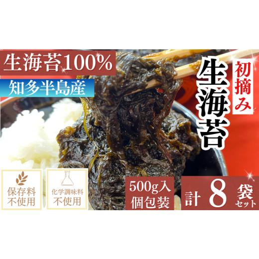 ふるさと納税 魚貝類 のり 愛知県 南知多町 岬だよりの生海苔(冷凍)500g×8袋(4kg) 計4kg(500g×8袋):40,000円