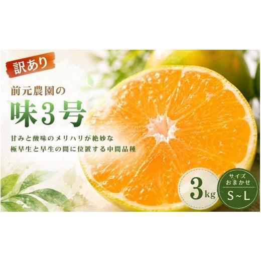 ふるさと納税 果物類 みかん 三重県 紀宝町 訳あり 前元農園の味3号 3kg S〜Lサイズおまかせ 2026年10月下旬頃〜順次発送予定 / フルーツ みかん 蜜柑 三重県…