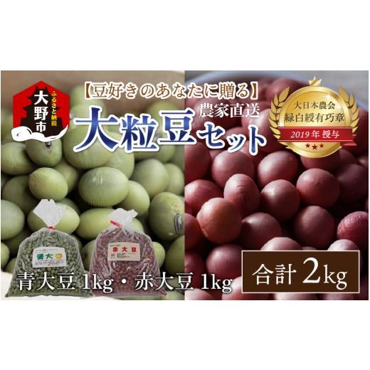 ふるさと納税 豆類 大豆 福井県 大野市 農家直送 豆好きのあなたに贈る 厳選大粒豆セット 計2kg(青大豆1kg 赤大豆1kg)