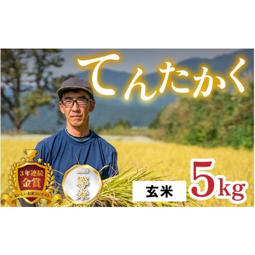 ふるさと納税 米 福井県 大野市 令和8年産 新米 越前大野産 一等米 帰山農園の「てんたかく」5kg 玄米 玄米 5kg | 16,000円
