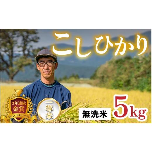ふるさと納税 米 コシヒカリ 福井県 大野市 令和8年産 新米 越前大野産 一等米 帰山農園の棚田育ちコシヒカリ 無洗米 5kg × 1袋 無洗米 5kg| 18,000円