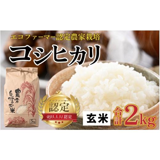 ふるさと納税 米 コシヒカリ 福井県 大野市 先行予約 令和8年産 新米 有機栽培 越前大野産 エコファーマー認定農家栽培 こしひかり2kg(玄米) 2026年10月よ…