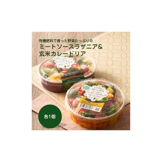 ふるさと納税 惣菜・レトルト 冷凍 福岡県 宗像市 有機肥料で育った野菜たっぷりのミートソースラザニア&amp;玄米カレードリア各1個 アグリCATS _HA2083 野菜 …