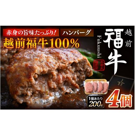 ふるさと納税 牛肉 ハンバーグ 福井県 坂井市 希少 越前福牛100% ハンバーグ 200g × 4個 赤身の旨味たっぷり 和牛ハンバーグ 国産牛 ブランド牛 赤身和牛 肉…