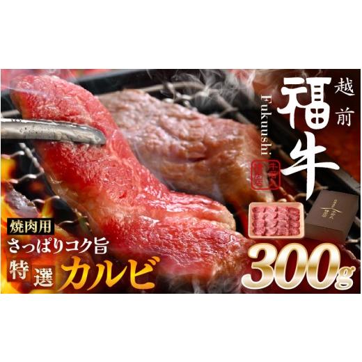 ふるさと納税 牛肉 バラ(カルビ) 福井県 坂井市 希少 越前福牛 さっぱりコク旨 特選カルビ 焼肉用 300g 焼肉 焼き肉 国産牛ブランド牛 赤身和牛 かるび 肉 牛 …