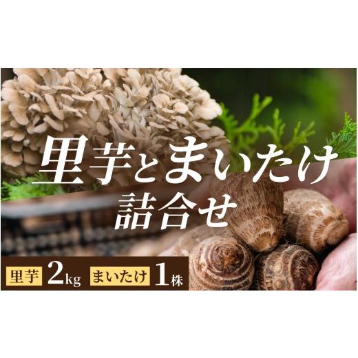 ふるさと納税 人参・大根・他根菜 福井県 大野市 先行予約 上庄の里芋 土付 2kgと九頭竜まいたけ1株の 大野の逸品、贅沢な詰合せ 上庄 里芋 野菜 根菜 舞茸 …