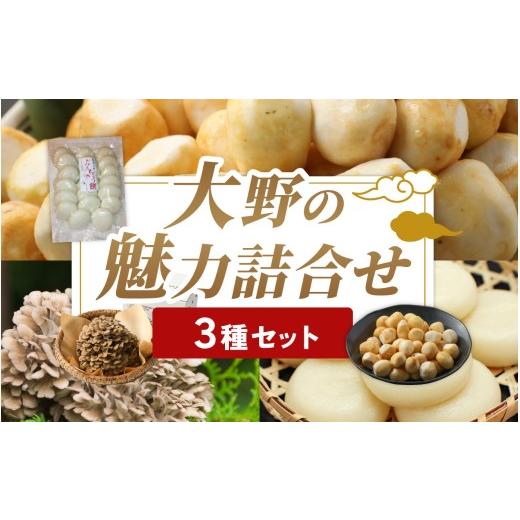 ふるさと納税 人参・大根・他根菜 福井県 大野市 先行予約 里芋 洗い子 と九頭竜まいたけとたんちょうもちの 大野の魅力詰合せ 12月ごろ発送予定 上庄 里芋 …