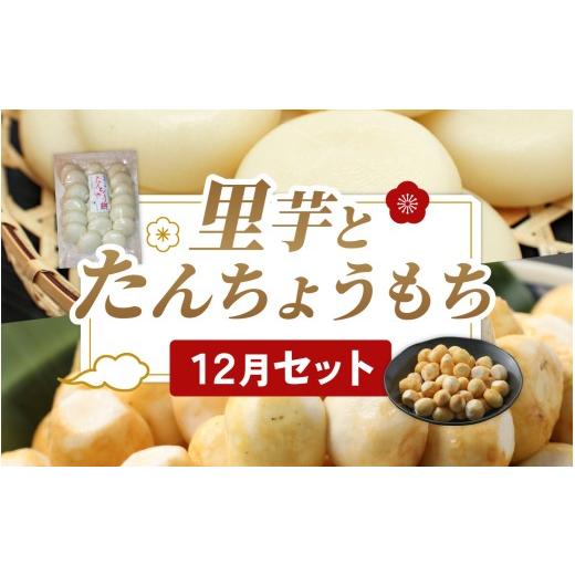 ふるさと納税 人参・大根・他根菜 福井県 大野市 先行予約 先行予約 上庄の里芋 洗い子 とたんちょうもち 12月セット 上庄 里芋 野菜 根菜 九頭竜 餅 丸もち