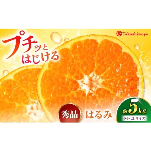 ふるさと納税 果物類 みかん 愛媛県 砥部町 みかん はるみ 約5kg 1月下旬から2月中旬まで順次発送 / フルーツ 果物 蜜柑 ミカン オレンジ 甘い 5kg 愛媛 / …