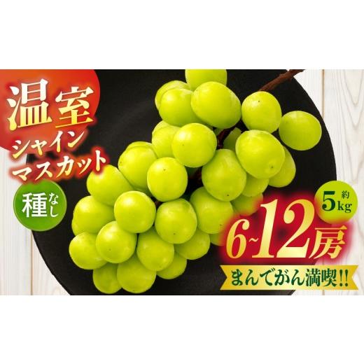 ふるさと納税 ぶどう マスカット 香川県 三木町 まんでがん満喫? 温室シャインマスカット 約5kg | シャインマスカット マスカット ぶどう ブドウ 葡萄 果物 …