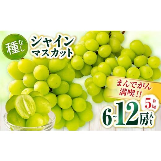 ふるさと納税 ぶどう マスカット 香川県 三木町 まんでがん満喫? シャインマスカット 約5kg | シャインマスカット マスカット ぶどう ブドウ 葡萄 果物 フル…