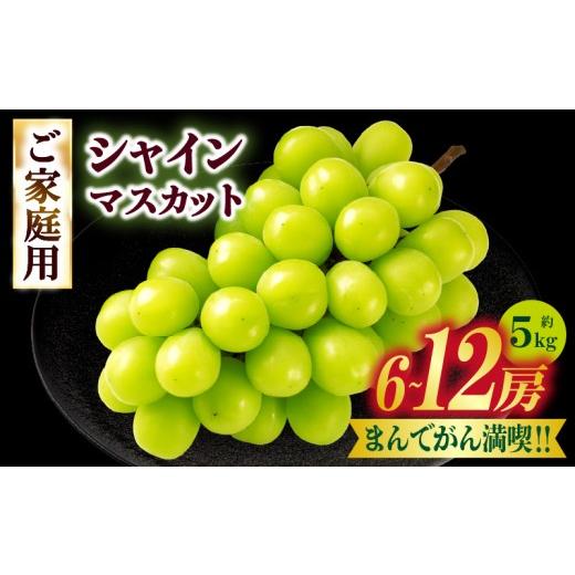ふるさと納税 ぶどう マスカット 香川県 三木町 まんでがん満喫? ご家庭用シャインマスカット 約5kg | シャインマスカット マスカット ぶどう ブドウ 葡萄 …