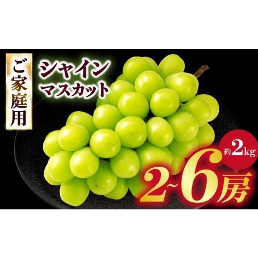 ふるさと納税 ぶどう マスカット 香川県 三木町 ご家庭用シャインマスカット 約2kg | シャインマスカット マスカット ぶどう ブドウ 葡萄 果物 フルーツ 新鮮…