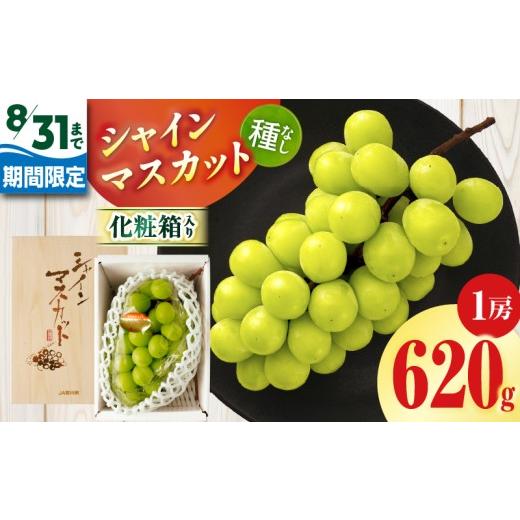 ふるさと納税 ぶどう マスカット 香川県 三木町 8月31日(夏休み)までの期間限定 シャインマスカット 1房(約620g)化粧箱入り | シャインマスカット マス…
