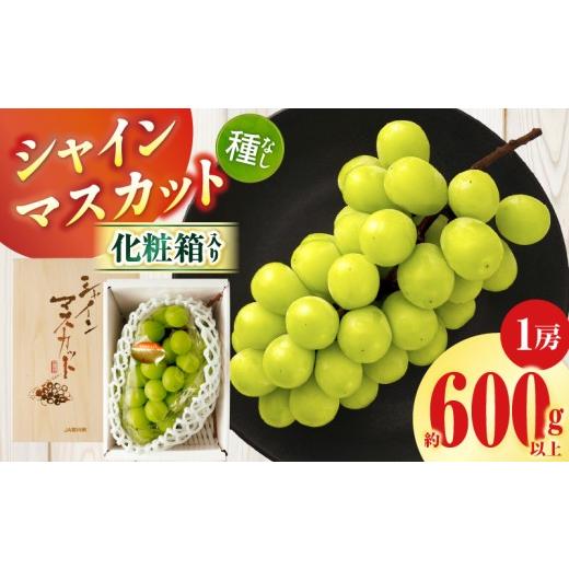 ふるさと納税 ぶどう マスカット 香川県 三木町 シャインマスカット 1房(約600g以上)化粧箱入り | シャインマスカット マスカット ぶどう ブドウ 葡萄 果物…