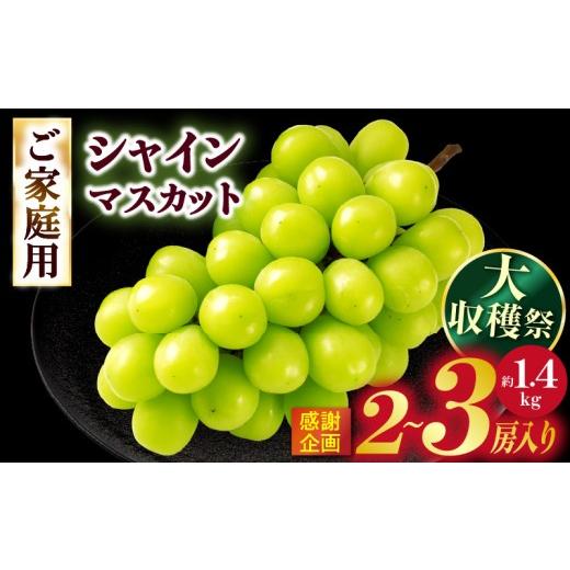 ふるさと納税 ぶどう マスカット 香川県 三木町 大収穫祭・感謝企画 ご家庭用シャインマスカット 約1.3kg以上(2〜3房) | シャインマスカット マスカット ぶ…
