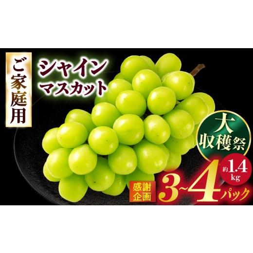 ふるさと納税 ぶどう マスカット 香川県 三木町 大収穫祭・感謝企画 ご家庭用シャインマスカットパック 約1.4kg(3〜4パック) | シャインマスカット マスカッ…