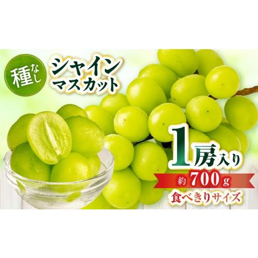 ふるさと納税 ぶどう マスカット 香川県 三木町 食べきりサイズ シャインマスカット 約700g | シャインマスカット マスカット ぶどう ブドウ 葡萄 果物 フル…