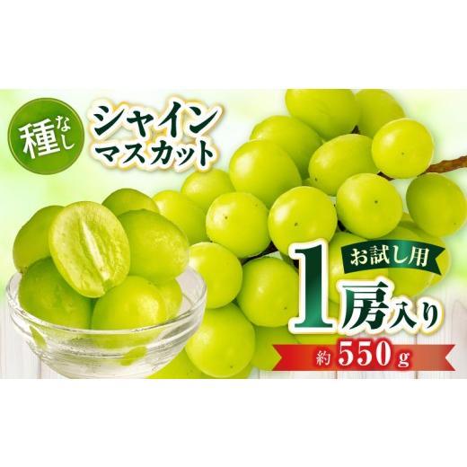 ふるさと納税 ぶどう マスカット 香川県 三木町 お試し用 シャインマスカット 約550g | シャインマスカット マスカット ぶどう ブドウ 葡萄 果物 フルーツ …