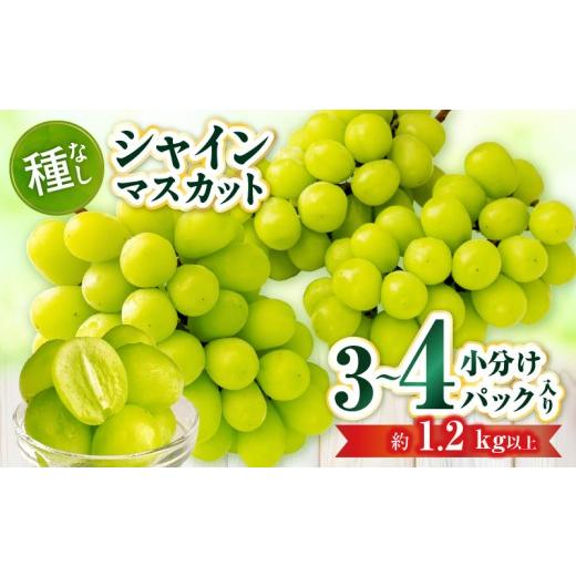 ふるさと納税 ぶどう マスカット 香川県 三木町 小分けパック入り パクパク食べれる・シャインマスカットパック 約1.2kg以上 | シャインマスカット マスカッ…