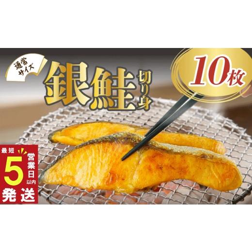 ふるさと納税 魚貝類 鮭 静岡県 沼津市 スピード発送 対応 銀鮭 切り身 塩銀鮭 約1.0kg 冷凍 鮭 さけ しゃけ 切身 魚 海鮮 魚介 贈答 贈物 ギフト 小分け 真…