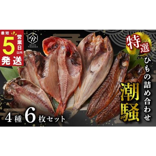 ふるさと納税 干物 静岡県 沼津市 スピード発送 干物 厳選セット 4種 6枚 潮騒 金目鯛 キンメ あじ 真ほっけ さば 醤油 醤油干し 鰯 鯖 サバ アジ ホッケ ひ…